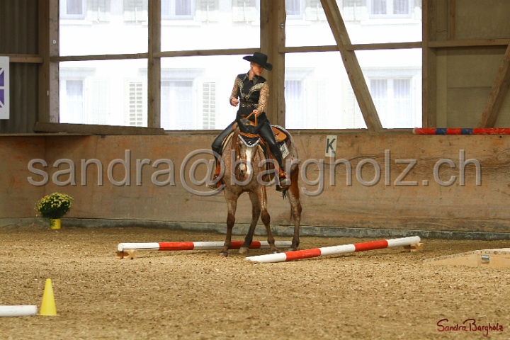 28-ApHC OT_203.jpg
